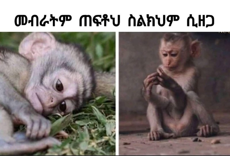 መብራትም ጠፍቶህ ስልክህም ሲዘጋ | ONGrP MEU AAHUP AWD